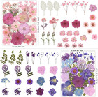 100 Pcs Dried Pressed Flowers For Crafts  Real Natural Dried Pressed Flowers In