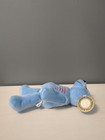 Rhode Island State Quarter Coin Bear - 13th State  Plush 8  Limited Treasures