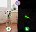 Led Glowing Dog Collars - Pet Safety night Walking   Rechargeable