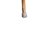 American Vintage Antique Carved Wooden Bird  Folk Art Cane