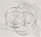 60mm Glass Petri Dish With Lab Cover Tissue Culture Plate Borosilicate Pack Of 5