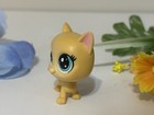 Littlest Pet Shop  2-77 Dina Kitty Yellow Cat Lps Collectible Shorthair Kitten