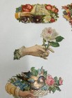 Vintage Antique Scraps Die Cut Embossed Hands Holding Birds   Flowers Lot Of 10