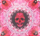 New Alexander Mcqueen 610623 Modal Wool Paradise Skull Scarf Wrap