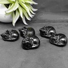 Natural Black Obsidian  Crystal Carved Sleep Cat Stone Healing Reiki Skull 1pc