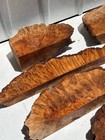 Burl Cherry Cutoffs  Birds Eyes And High Figured Natural With Live Edge-7 Items