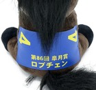 Lovcen Plush M Size Idol Horse Jra 86yh Satsuki Sho Mascot Toy Doll