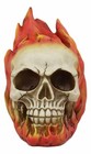 Ebros Ghost Rider Skull With Fire Flame Skeleton Figurine Halloween Decor 6 l
