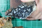 21 Lb Box Agate  Jasper  Rough For Cabbing  Part Will Cut Big Slabs  All Good