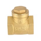 1  Inch Brass Swing Check Valve Steam And Water Npt Threaded Prevents Reverse