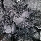Black Feather Flower Net Veil Fascinator Hat Clip Hair Accessory