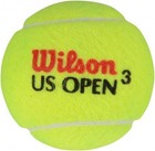 Bjorn Borg Signed Wilson Us Open Tennis Ball