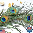 Piokio 30 Pcs Natural Peacock Feathers In Bulk 19-23inch 50-60 Cm  Bulk For D