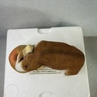 Sherratt And Simpson Guinea Pig Eating An Apple Figurine 55208