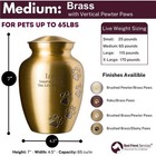 Ottillie Paws Elite Series Personalized Pet Urn For Dogs And Cats - Pet Memor   