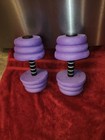 Water Exercise Purple Foam Dumbbells  set Of 2  Pool Weights   Free Shipping          