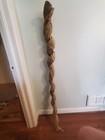 Vine Twisted Sculpture Art Display Project Material Unique Rare 58 Inches