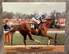 Secretariat 1973kentucky Derby Photo Signed 3 Sizes Ron Turcotte