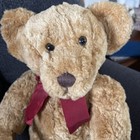 Vintage Russ Teddy Bear