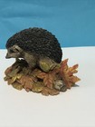 Hedgehog - British Wildlife Series - Worcester