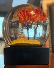 Cool Snow Globes  autumn  Snow Globe  2024  Designed In Vermont  Gold Glitter 
