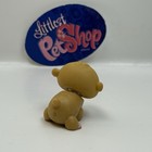Hamster  45 - Authentic Littlest Pet Shop - Hasbro Lps