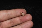 Extremely Rare Ancient Etched Carnelian Longevity Bead With Rare Pattern