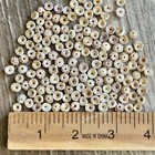 Natural Hawaiian Loose Tiger Puka Shell Shells Hawaii Lot Of 150 Jewelry Making
