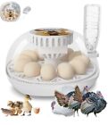 Egg Incubator 12 Eggs Incubator With Automatic Egg Turning Automatic 360 View
