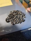 Premium Stainless Steel Tumbling Pi N   5lbs For Superior Reloading Performance