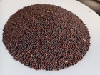 Purple Top White Globe Turnip Seed     Non-gmo Brassica Cover Crop   Food Plot
