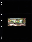  3 50 Scott Value - 2007 Israel Wildlife  Hula Nature Reserve Cv Mnh Nh Umm