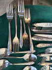 Vintage 1847 Rogers Bros Springtime Silverware Silverplate Flatware 40 Pieces