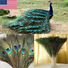 10 Pcs Real Natural Peacock Eye Feathers 10-12 Inch For Diy Craft  Wedding Us