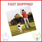 Kong Extreme Dog Toy - Fetch   Chew Toy - Treat-filling Capabilities   Erratic