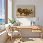 Early 1900s Bison Buffalo Cart Western Americana Cowboy Sepia Canvas Wrap Print 