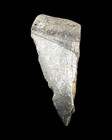 Megalodon Shark Tooth Fossil No Repair Natural 3 23  Huge Beautiful Tooth    