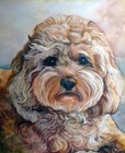 Pet Portrait From Photo 11x14  A3 Custom Realistic Painting  Christmas Gift