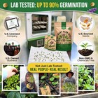 Culinary Herb Seeds Variety Pack