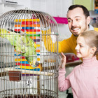 Mewtogo 2 Pcs Bird Toys - Parrot Toys With Multicolored Natural Wooden Blocks  C
