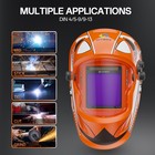 6 In1 Mig Welder Gas gasless Mig cut hf Tig spot arc Welding 250a 230v W helmet