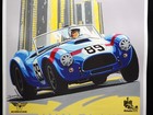 Rick Cole 1989 Detroit Sport   Race Car Auction Poster Shelby Cobra
