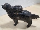 Original Vtg Cast Iron A C Williams Large St Bernard W Pack Dog Still Penny Bank
