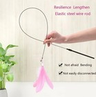 Interactive Cat Toys Retractable Wand Toy And Feather Toy Refills For Indoor Cat