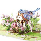  Blue Bird Mothers Day Card  3d Pop Up Card Mothers Day  Birthday Card For Mom 