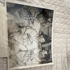 Cardinals Stan Musial  Brecheen Original Vintage Baseball Photo 1947 Type 1   