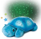 Twilight Turtle    - Blue Cloud B