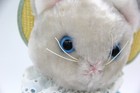 Beatrix Potter 1972 Eden Toys Tom Kitten Stuffed Plush Vintage With Tag Usa 11 