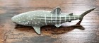 Seaworld Whale Shark Figure Small Whale Shark Figure Seaworld 