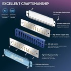 10 Hole Blues Diatonic Harmonica Set Of 7 Blues Harp Mouth Organ For Beginners